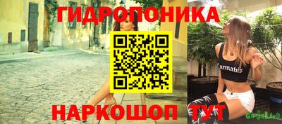 гашик Пыть-Ях