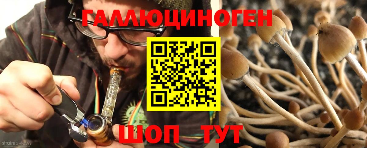 Галлюциногенные грибы MAGIC MUSHROOMS  Вход с VPN  Галлюциногенные грибы ЛСД  Соликамск 